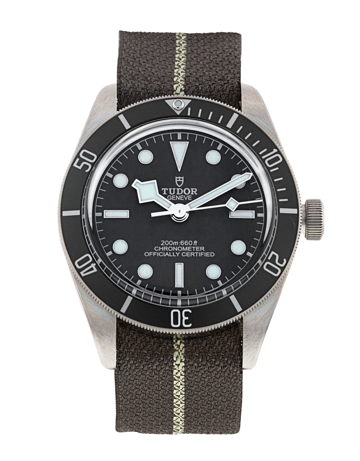 Tudor Black Bay 58 M79010SG-0002 205849