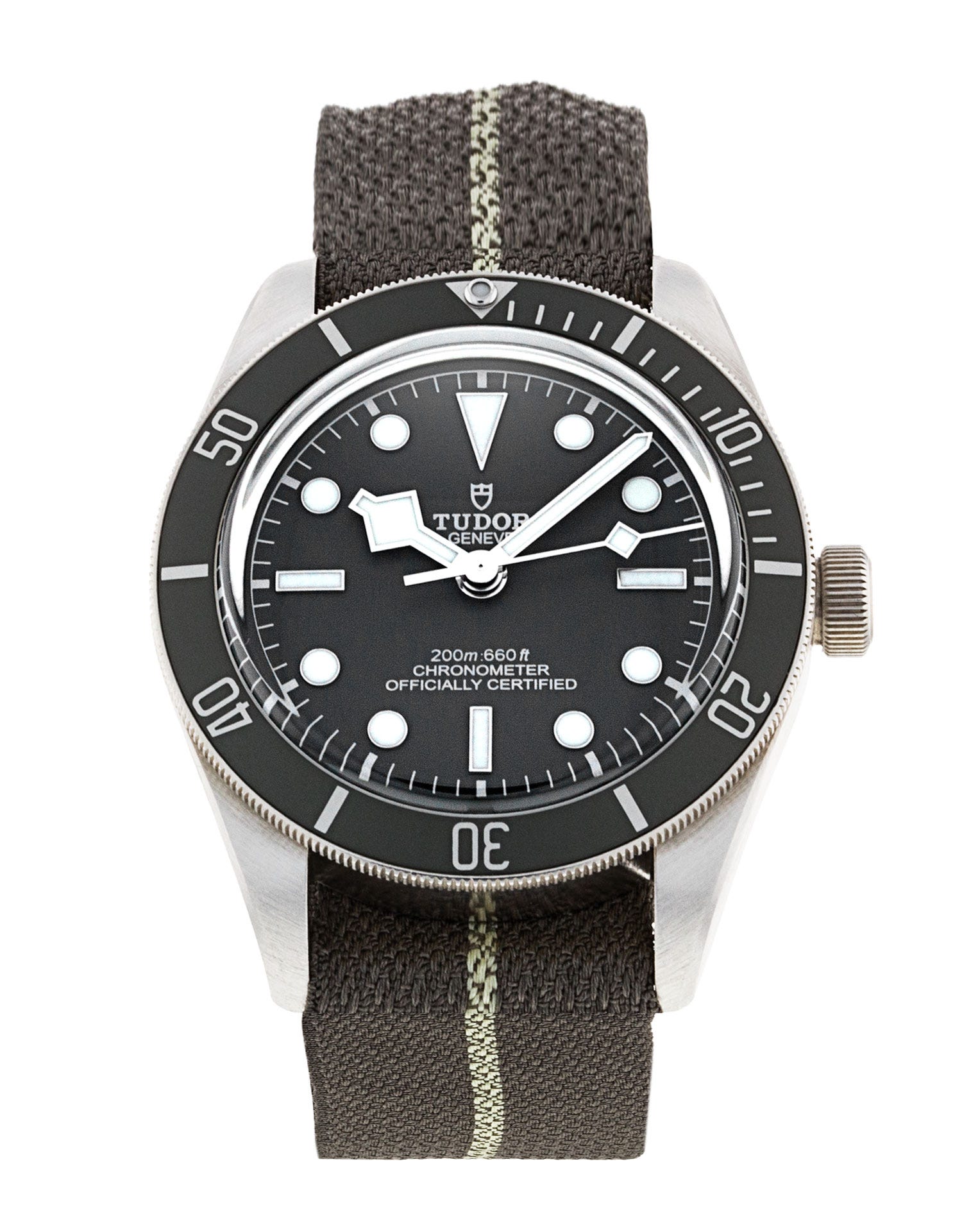Tudor Black Bay 58 M79010SG-0002 242517