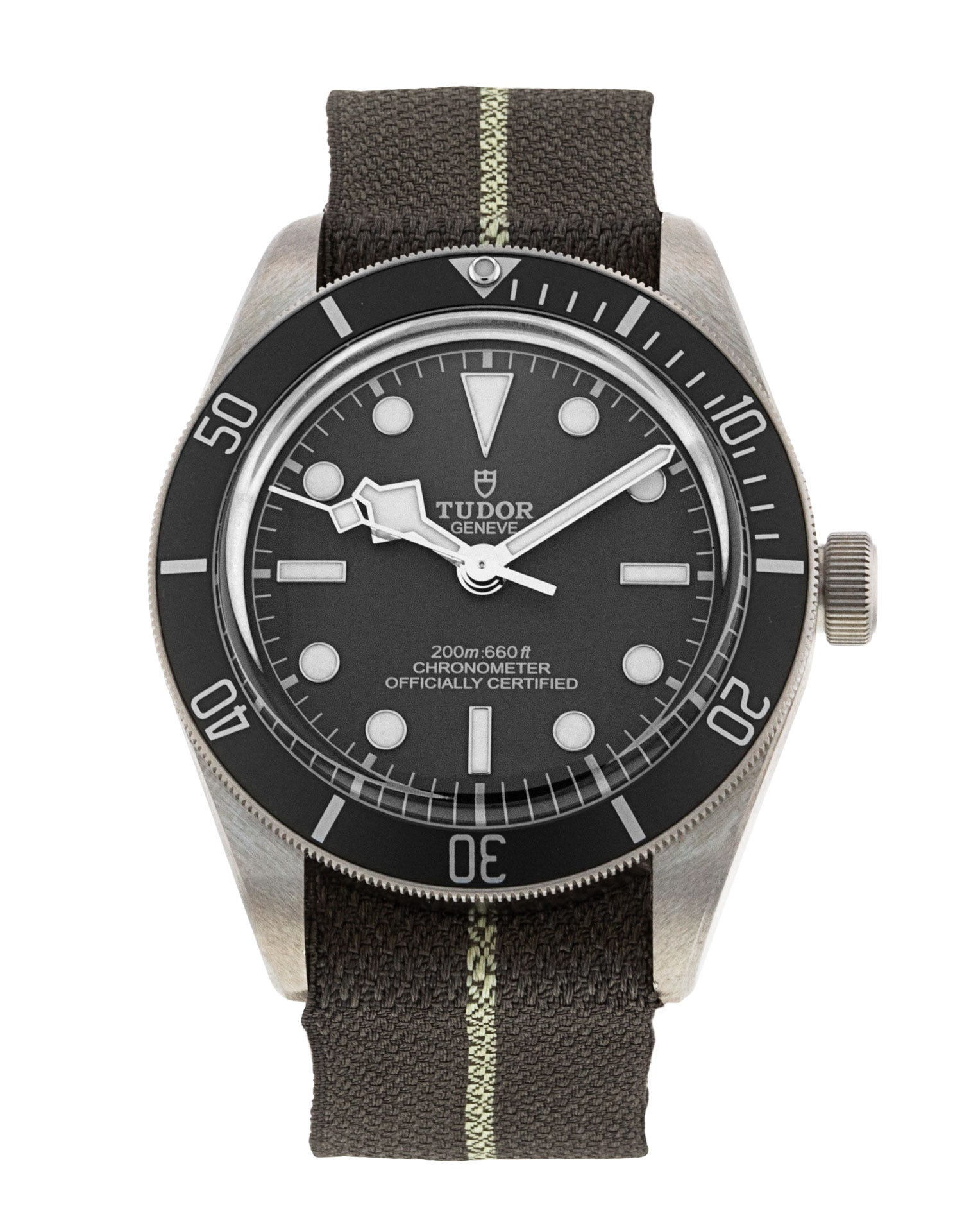 Tudor Black Bay 58 M79010SG-0002
